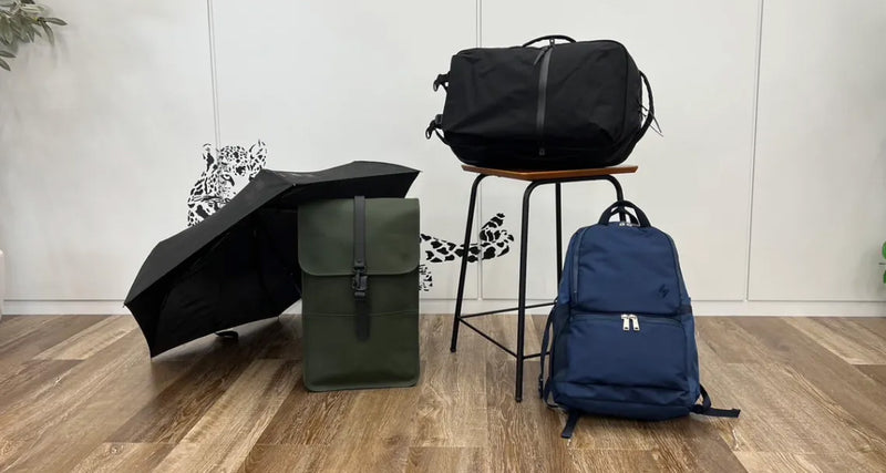 IMG_2231_800x800.jpg?v=1691480905